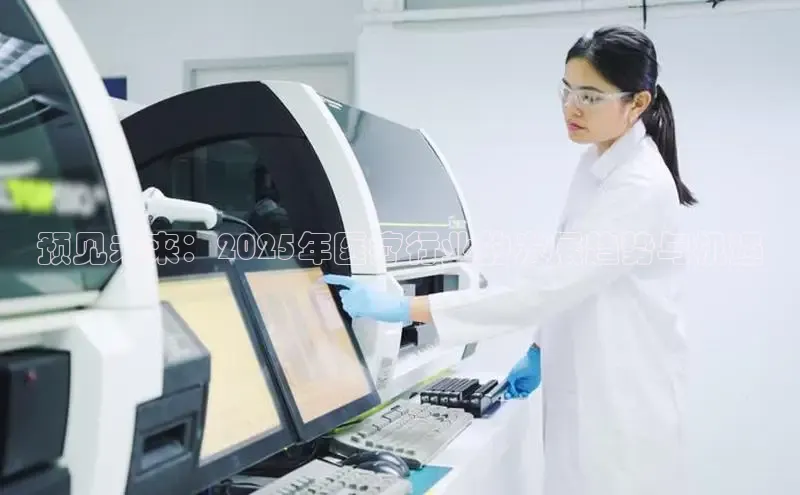 龙8官网手机登录入口