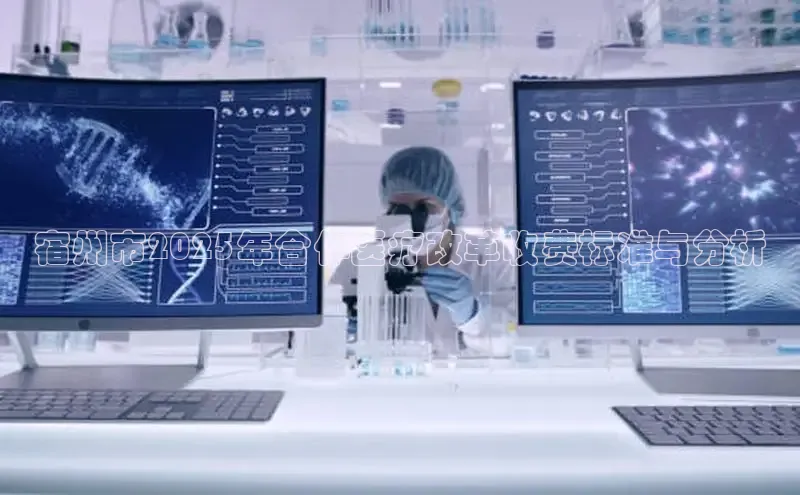 龙8官网 long8 bet