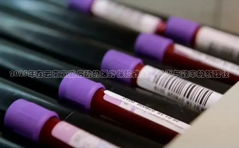 龙八国际app官网